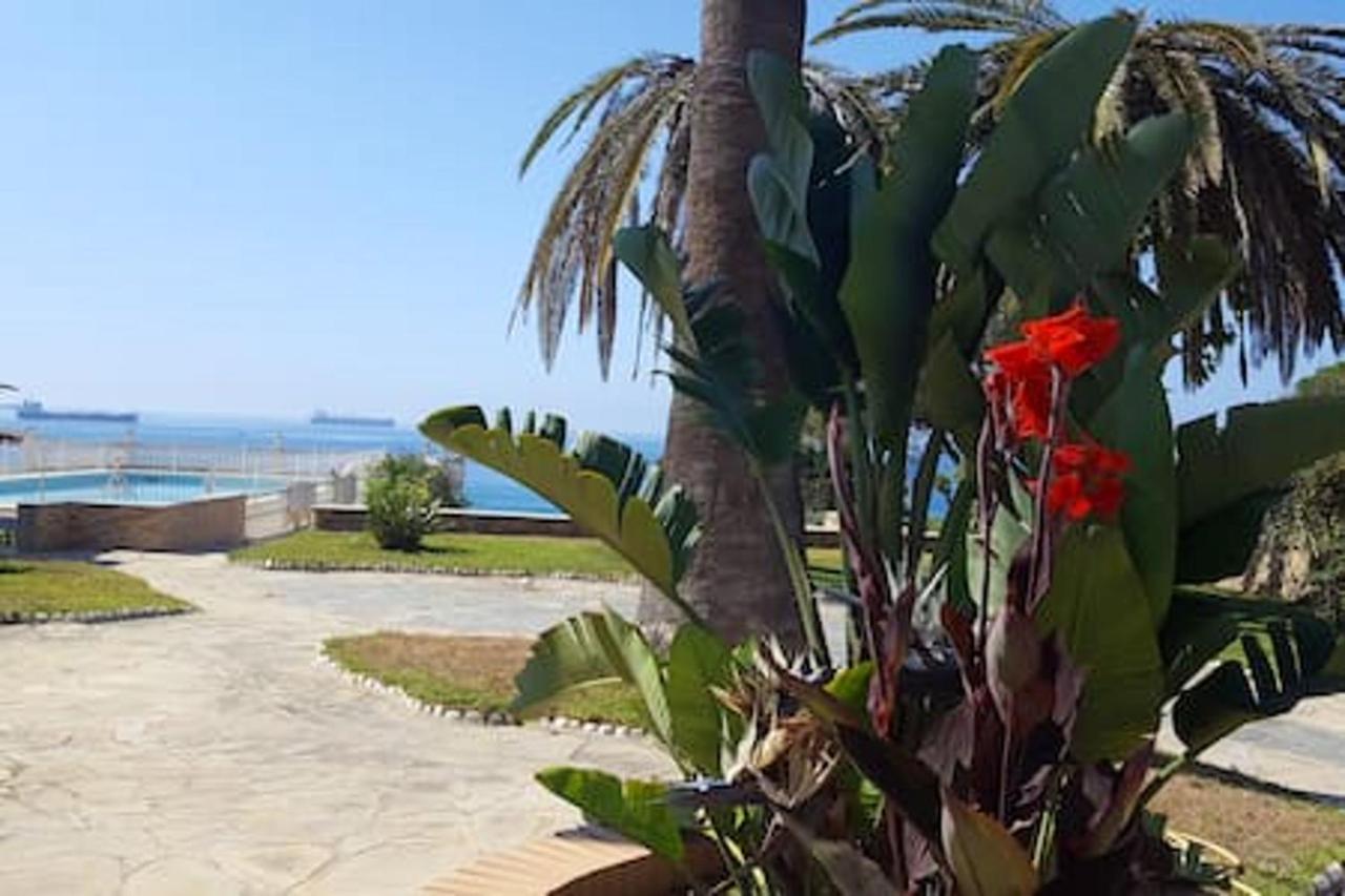 Spacious In + Pool * Tarragona